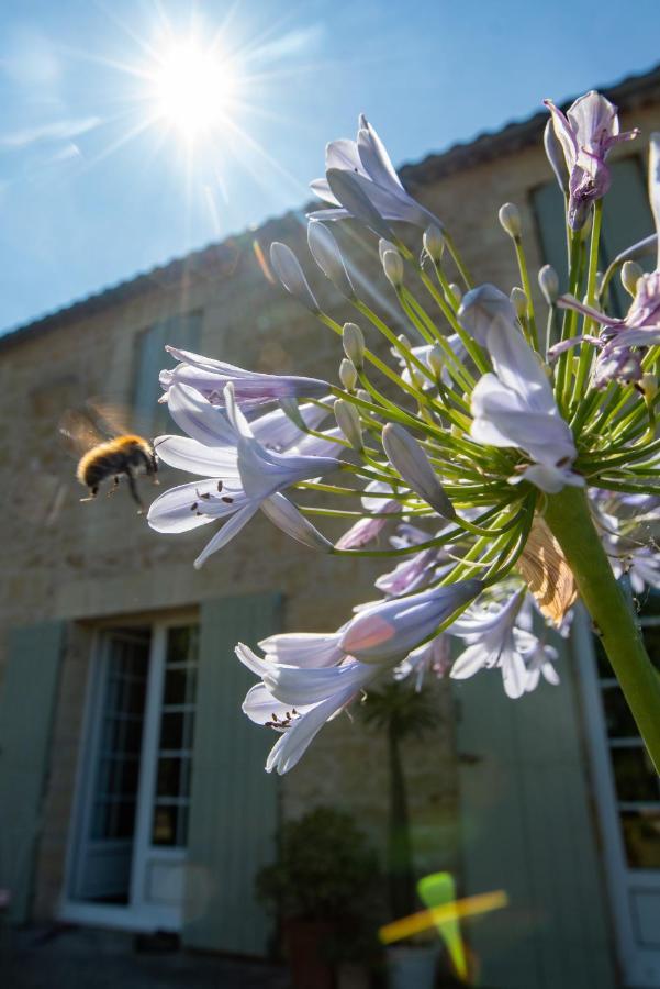 Gite Entre Bordeaux Et Saint-Emilion Génissac Zewnętrze zdjęcie